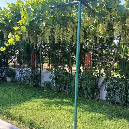 Artemis * Portaria (Nea Propontida)