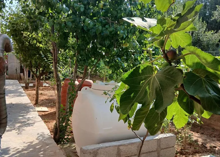 Artemis Portaria (Nea Propontida)